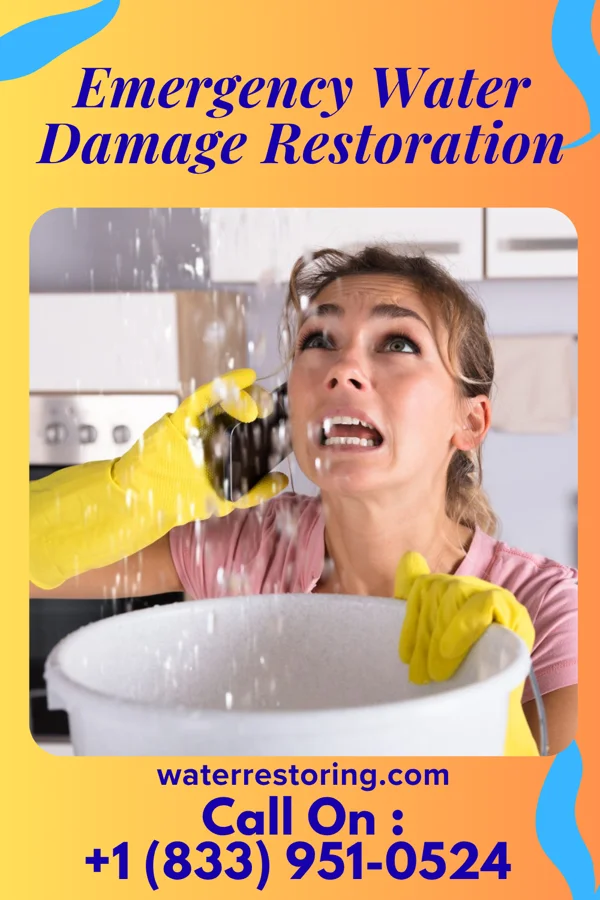 Emergency Water Damage Restoration in Everglades, FL