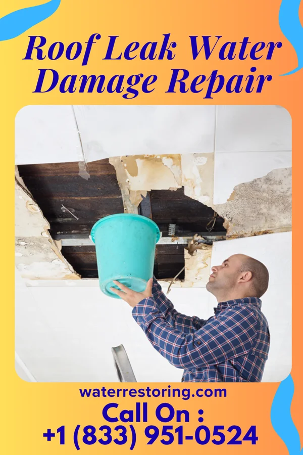 Roof Leak Water Damage Repair in Everglades, FL